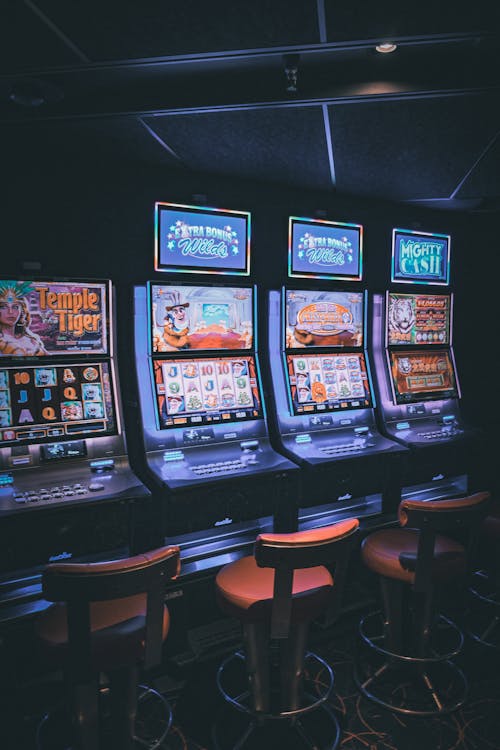 Variedade de jogos Spinmama